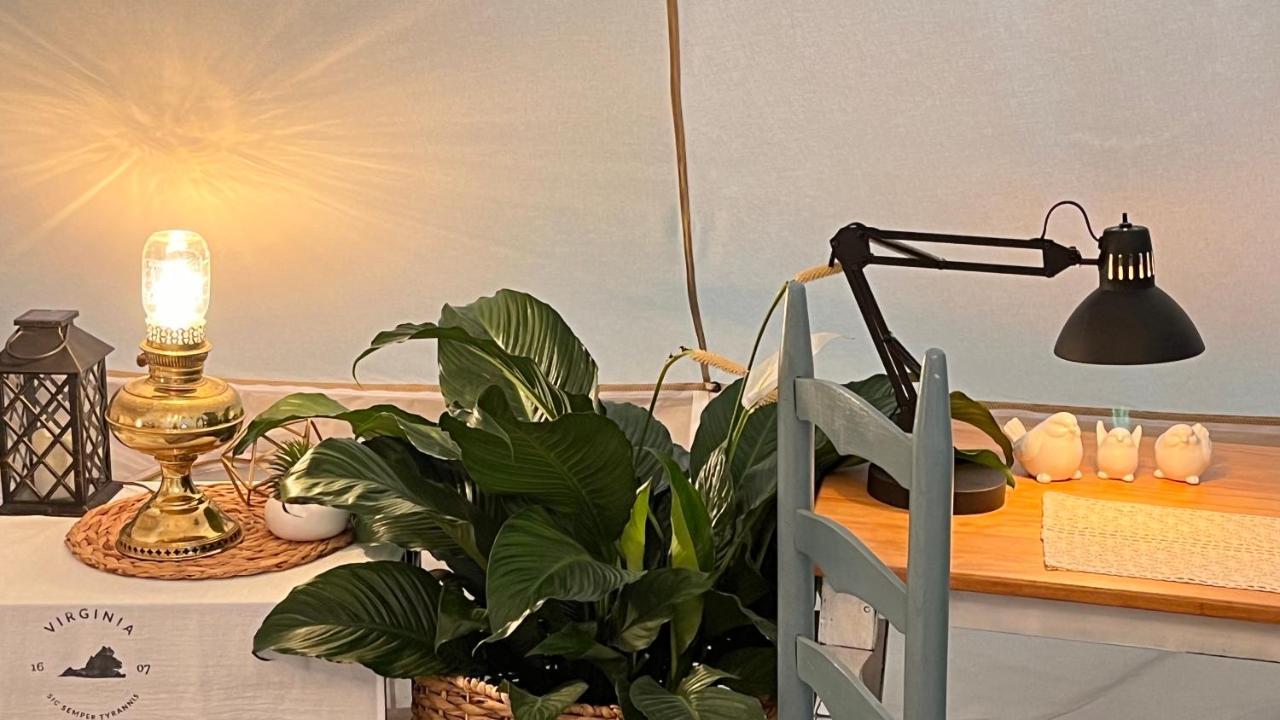 Shenandoah Valley Glamping - Amazing Views - Farm Edinburg Exterior photo
